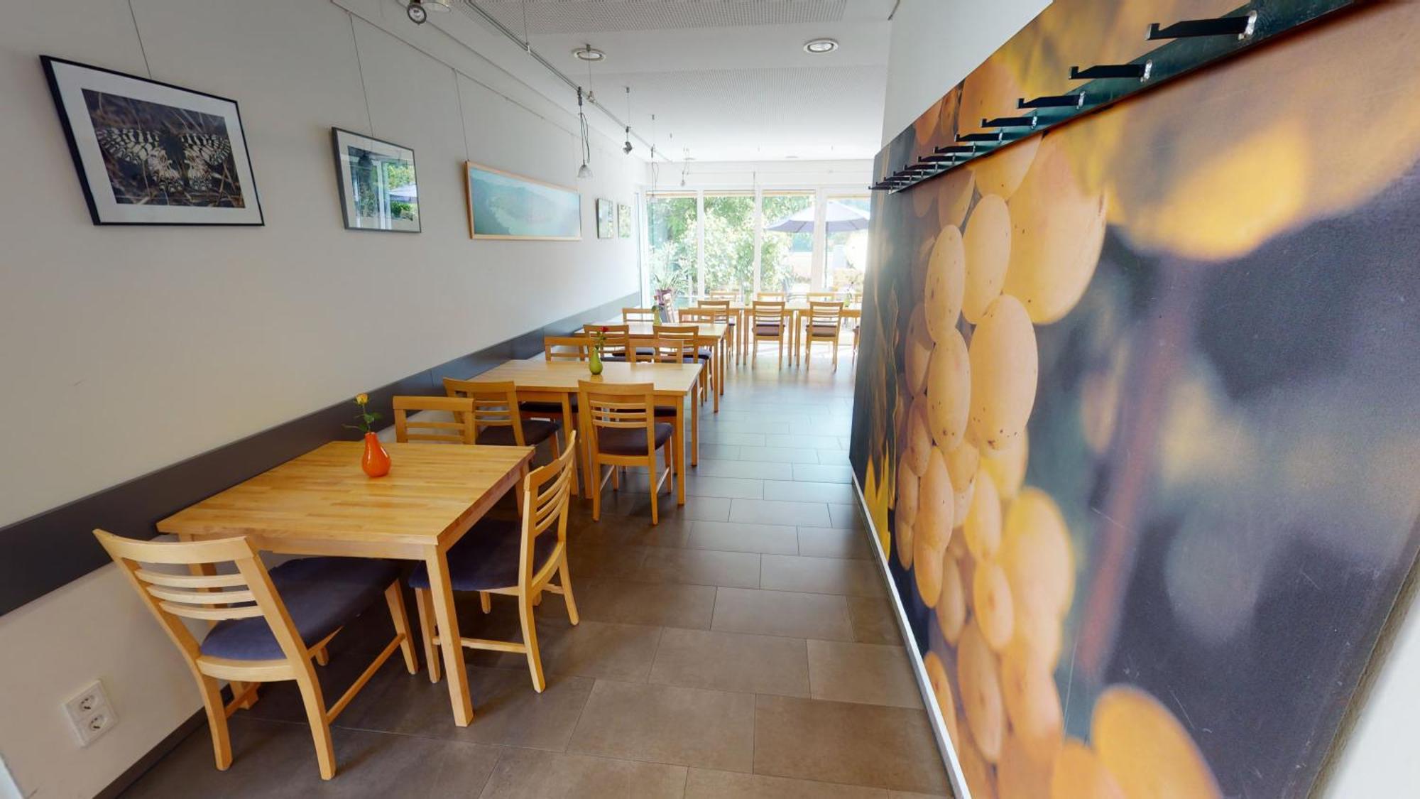 Weingut Baeuerl Apartment Dürnstein Екстериор снимка